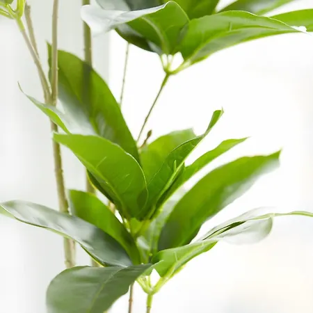 아파트 Wlr - Chmielna I