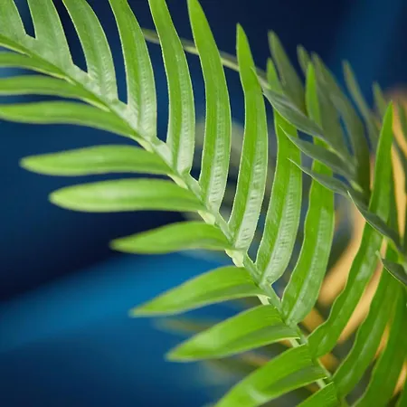 Wlr - Chmielna I * ורשה