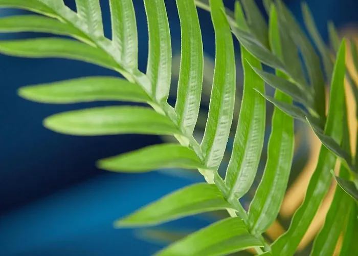 Wlr - Chmielna I * Warszawa